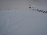<h5>First tracks</h5>