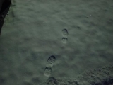 <h5>First tracks</h5>