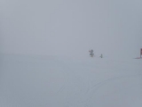 <h5>It's puking down! (that's what snow report said)</h5>