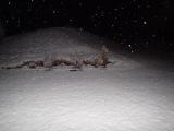 <h5>Snowy Sunday morning</h5>
