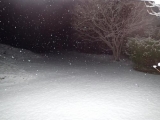<h5>White stuff</h5>