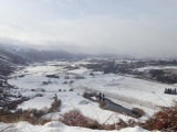<h5>Magic view</h5>