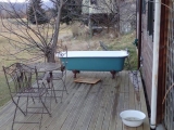 <h5> Bath time....</h5>