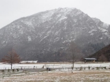 <h5>Still snowy this afternoon</h5>