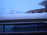 <h5>Freshies</h5>