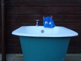 <h5>Oooh, not the bath!</h5>