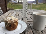 <h5>Morning tea</h5>