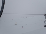 <h5>Low vis today!</h5>