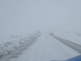<h5>Oh-ohhh</h5><p>We have to drive down here???</p>