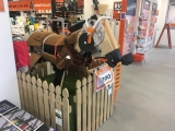 <h5>Reno</h5><p>He was just horsing around!</p>